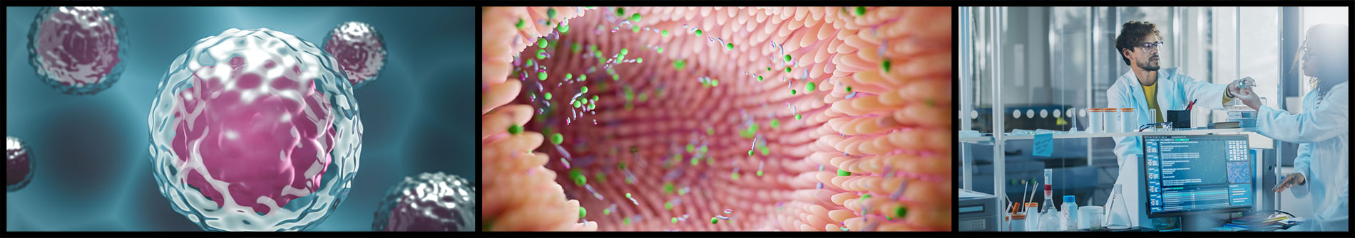 Illustrtations of three types of disease research cells