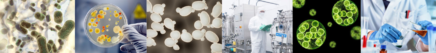 Images of different commercial applications where the SH800 cell sorter is used